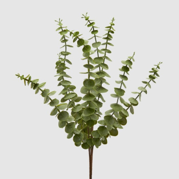 EDG Декоративная ветвь Эвкалипт, высота - 52 см, цвет - зеленый