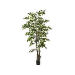 Sia Искуственный Фикус, 168 см