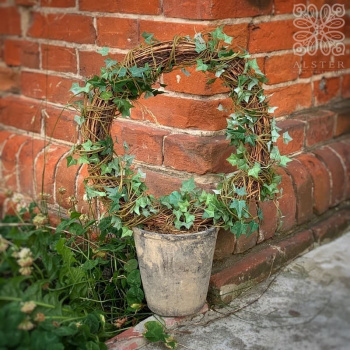 Mr. Plant Искусственная Мургрена в форме круга, 54 см, зеленый
