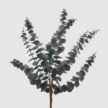 EDG Декоративная ветвь Эвкалипт, высота - 52 см, цвет - серо-зеленый