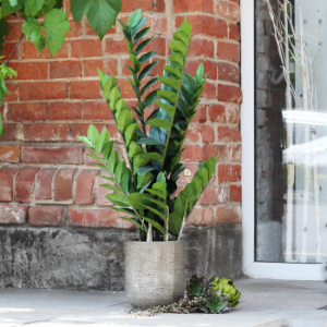 D&M Depot Rare Бетонное кашпо, 17х17х21 см, хаки