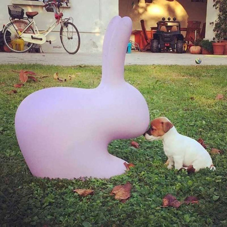 Qeeboo Rabbit Стул Заяц, размеры: 68,8x39,5x80h см, цвет - розовый матовый