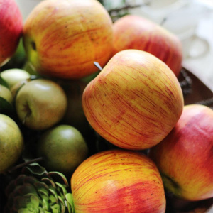 Tropica Искусственное яблоко, диаметр - 8 см, цвет - желто-красный