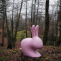 Qeeboo Rabbit Стул Заяц, размеры: 68,8x39,5x80h см, цвет - розовый матовый