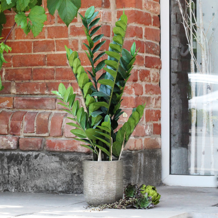 D&M Depot Rare Бетонное кашпо, 17х17х21 см, хаки