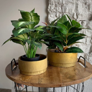 D&M Depot Loop Набор из 2 кашпо, 21х17 см, золотой