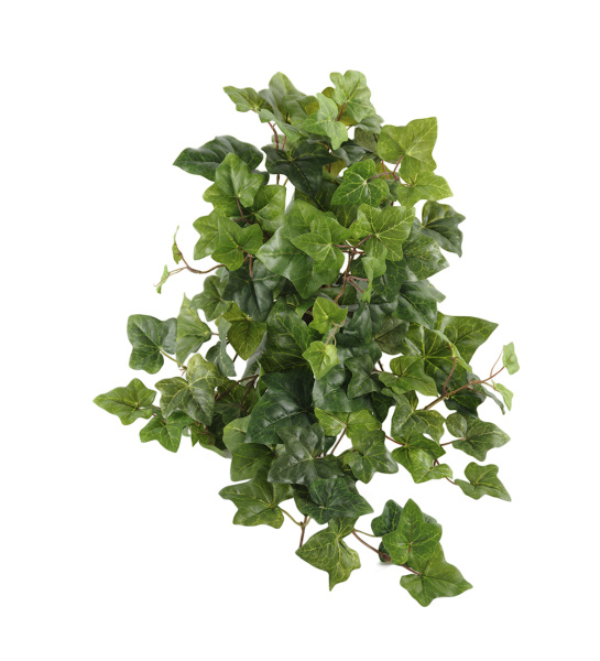 Mr. Plant Искусственный Мурайя, 50 см