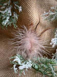 Inge Glas Стеклянная елочная игрушка на прищепке Коричневая птичка с пушистым хвостом, 6,5 см