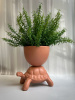 Qeeboo Turtle Carry XS Кашпо Черепаха, размеры: 21x15,5x22 см, цвет - терракотовый