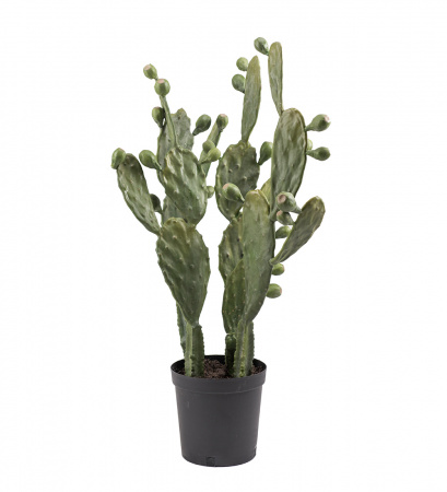 Mr. Plant Искусственный Кактус, 85 см, зеленый