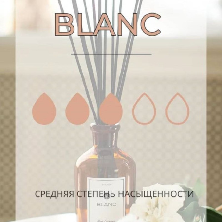 By Kaori BLANC Ароматический диффузор 