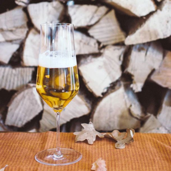 Zalto Denk Art Beer Набор из 6 бокалов для пива, объем - 370 мл, прозрачный