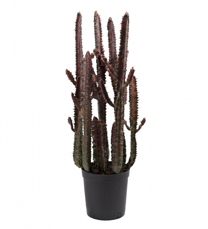 Mr. Plant Искусственный Кактус, 65 см