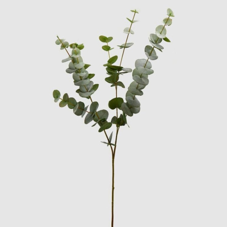 EDG Декоративная ветвь Эвкалипт, высота - 96 см, цвет - зеленый