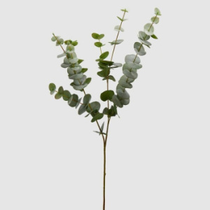 EDG Декоративная ветвь Эвкалипт, высота - 96 см, цвет - зеленый