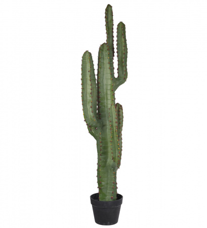 Mr. Plant Искусственный Кактус, 200 см, зеленый