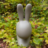 Qeeboo Rabbit Стул 