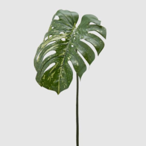 EDG Декоративная ветвь "Монстера", 67 см, зеленый
