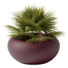 Qeeboo Nami Planter Кашпо для растений, размеры: 97х97х45 см, цвет - бордовый (Indian Red)