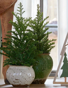 EDG Искусственная ель в горшке, высота - 65 см