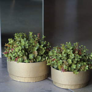 D&M Depot Loop Набор из 2 кашпо, 21х17 см, золотой