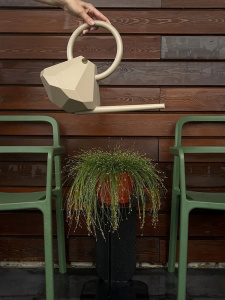 Garden Glory Лейка для полива, объем - 4 л, размеры: 42х32h см, цвет - бежевый (Sand)