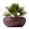 Qeeboo Nami Planter Кашпо для растений, размеры: 97х97х45 см, цвет - бордовый (Indian Red)