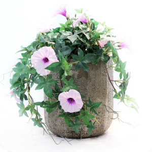 D&M Depot Кашпо Rare,