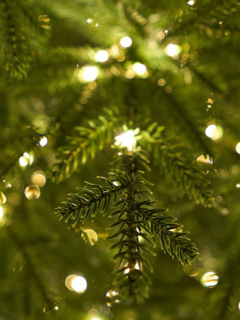 MAX Christmas Искусственная Ель Лесная Симфония Elite со встроенной LED-подсветкой, 240 см, зеленый