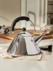 Alessi Kettle Чайник для газовой или индукционной плиты, объем - 2 л, цвет - зеркальная сталь