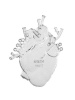 Seletti Love in Bloom Настенная Ваза - Сердце, размеры: 16,5х7х24,2h см, цвет - прозрачный