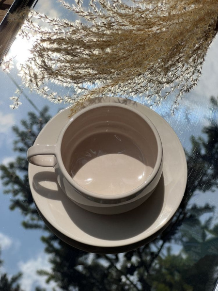 Degrenne Cafeterie Empileo Чайная пара, объем - 250 мл, цвет - розовый