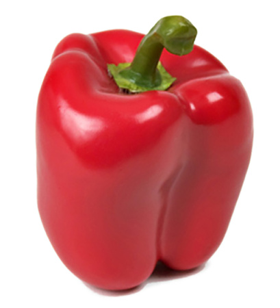 Mr. Plant Искусственный перец, 11 см, красный