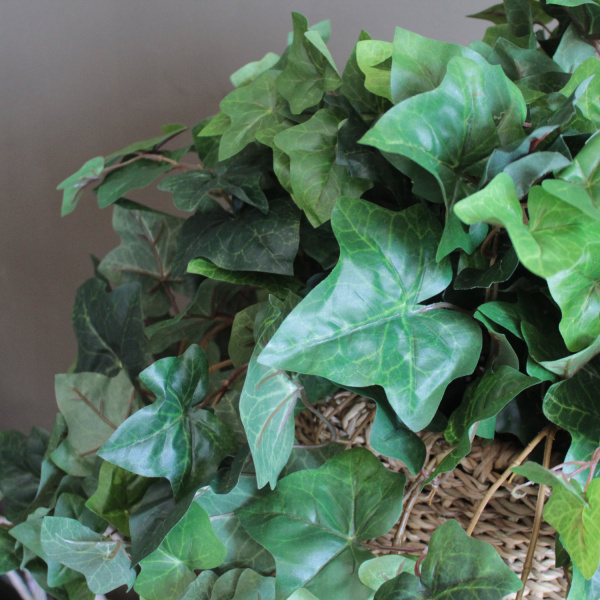 Mr. Plant Искусственная Мурайя, длина - 50 см