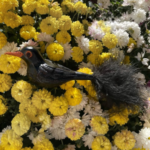 Inge Glas Стеклянная елочная игрушка на прищепке Черная птица с длинным хвостом, размер - 10,5 см