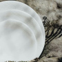 Degrenne Supernature Фарфоровая тарелка для основного блюда, диамертр - 27 см, цвет - белый